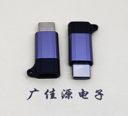 虎门镇Type-C母转Type-C公 USB3.1 PD100W快冲接口